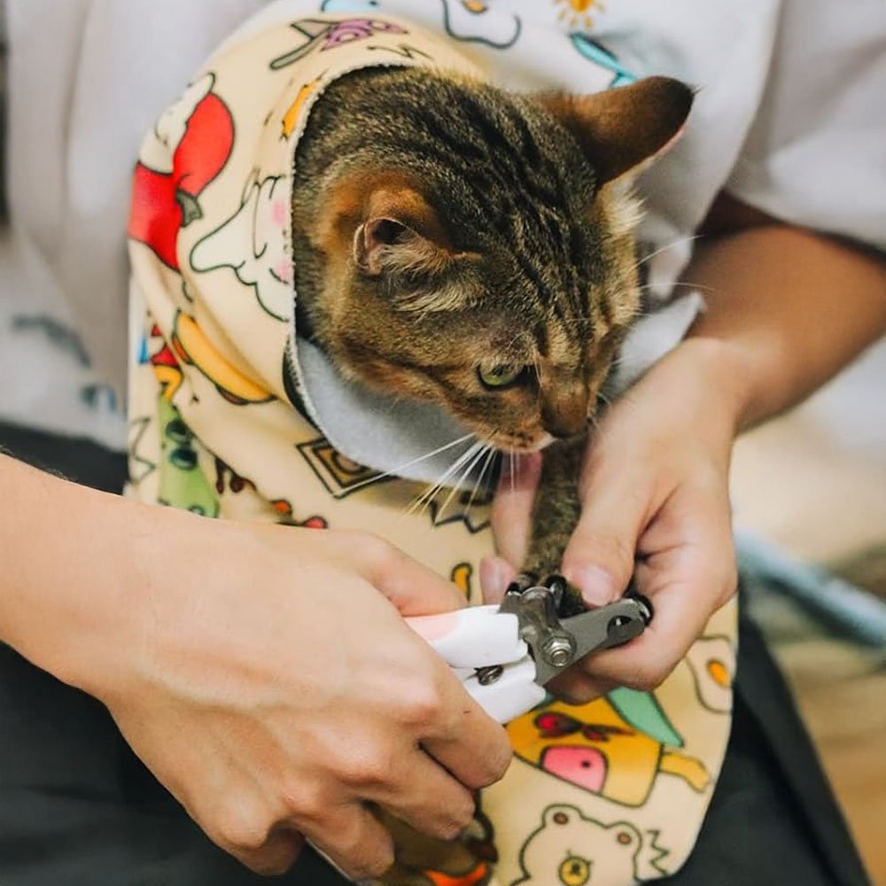 Кърпа за грижа за котка CalmCat за спокойни процедури у дома