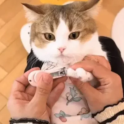 Кърпа за грижа за котка CalmCat
