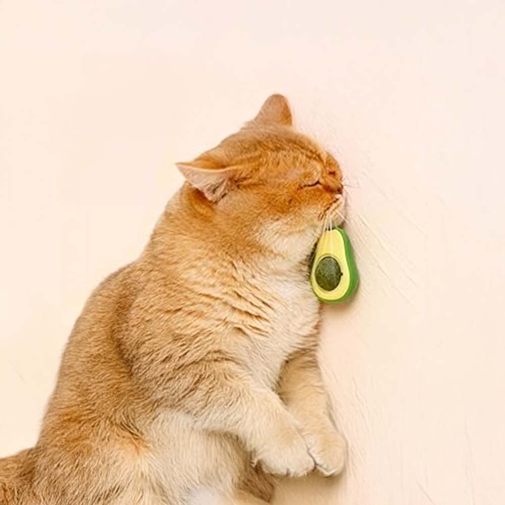 Котка използва играчка за самостоятелна игра