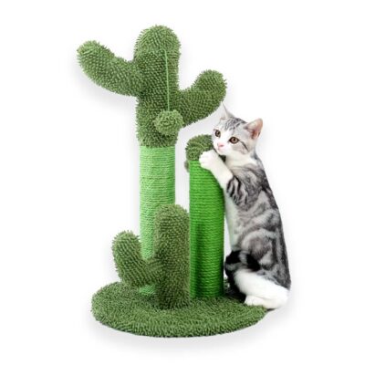 Драскалка кактус за котка