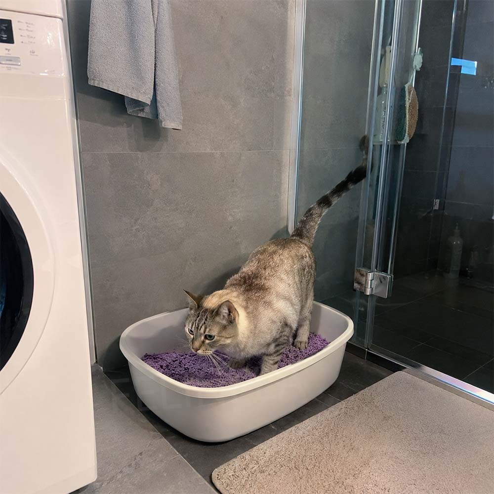 Тофу пелети за котешка тоалетна EcoPurr 2,5 кг - Image 14