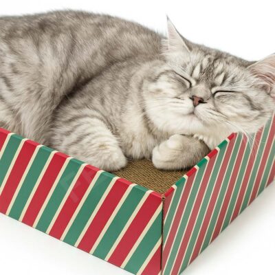 Картонена драскалка за котка ChillBox