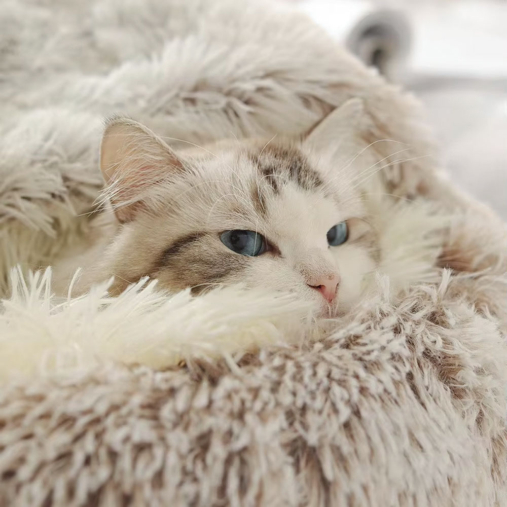Плюшена пещера за котка като спокойно скривалище
