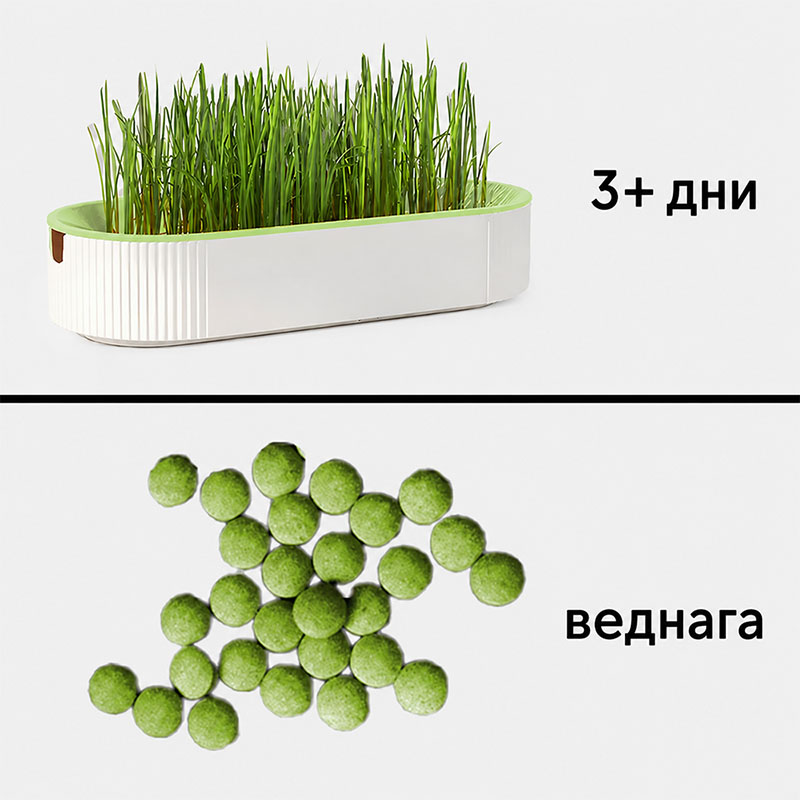 Дъвчащи кулки с котешка трева за котки