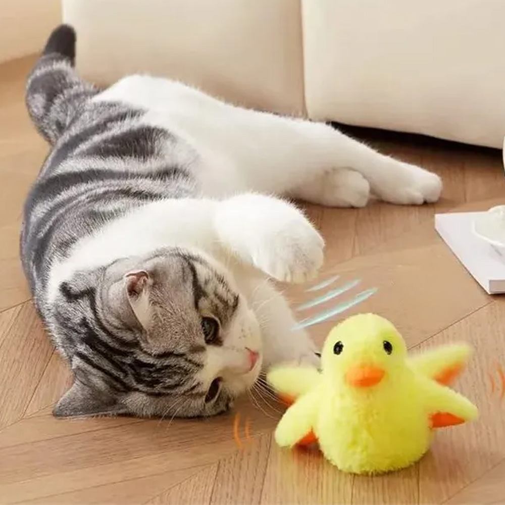 Патенце за активна игра на котка у дома