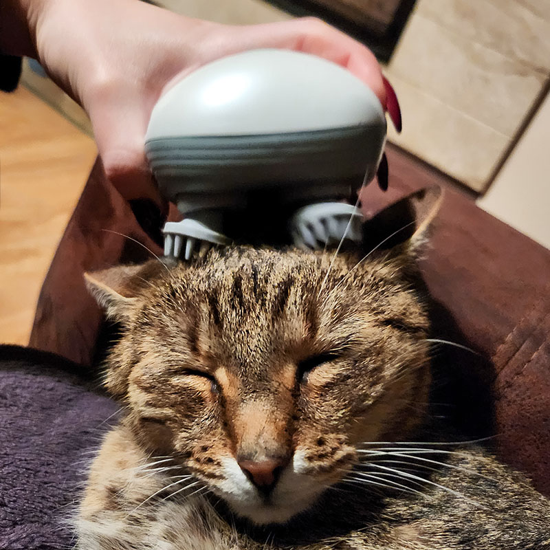 Масажор за котка PurrTherapy за галене и почесване около главата