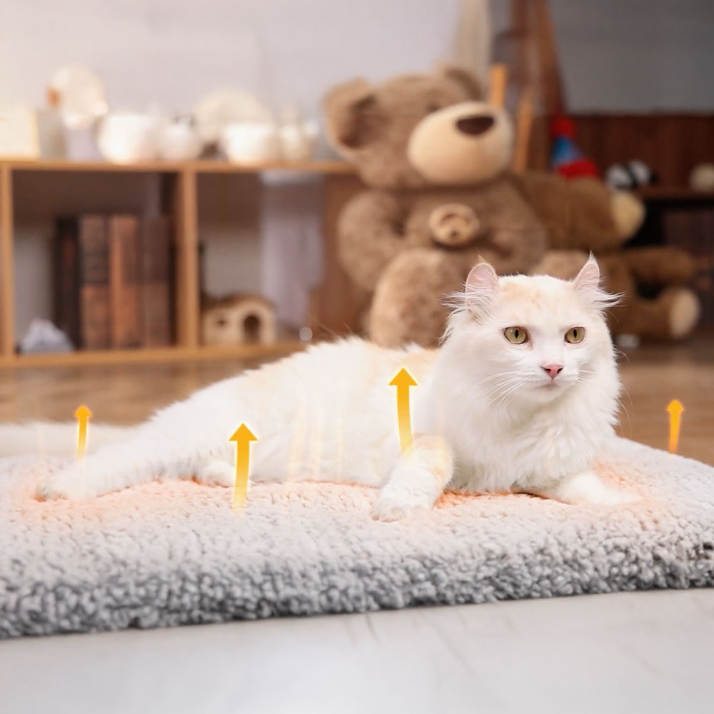Котка върху самозатопляща се постелка през студените дни