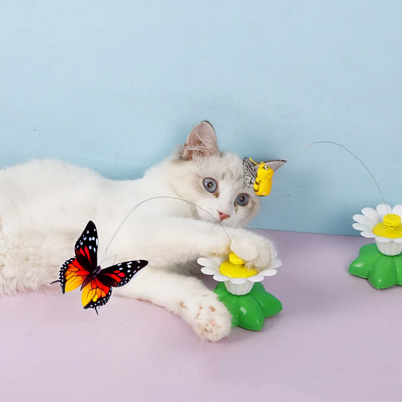 Котка играе с движеща се пеперуда и тренира ловния си инстинкт
