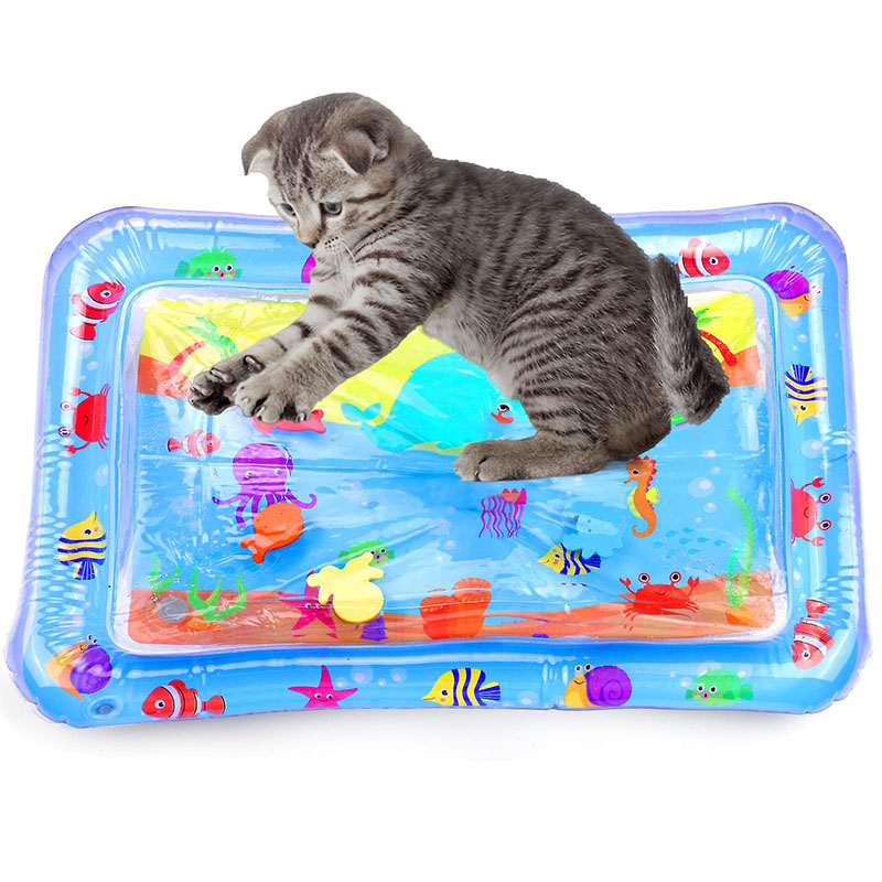 Активна игра за котка у дома