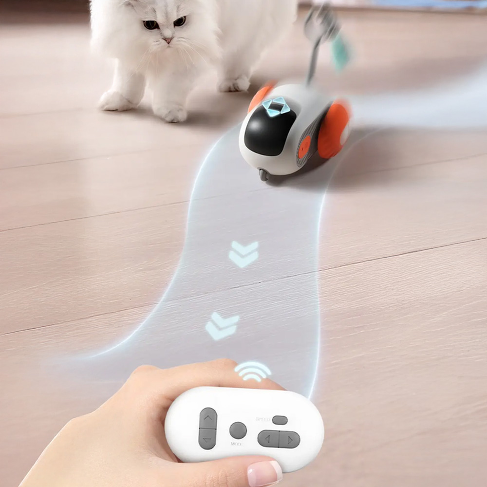 Котка играе с движеща се количка PurrRacer