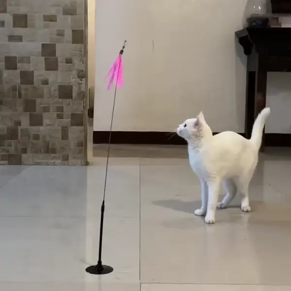 Котешка въдица с пера за активна игра