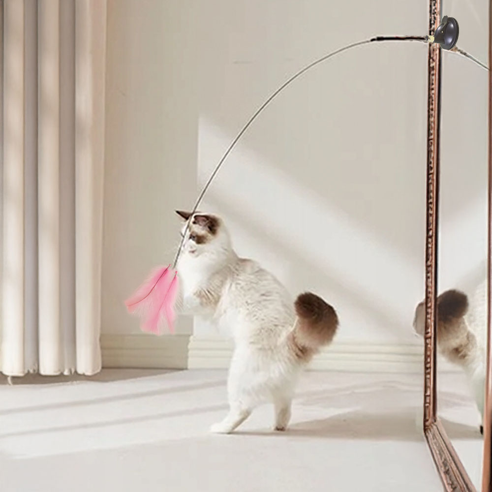 Котка играе самостоятелно с въдица с пера