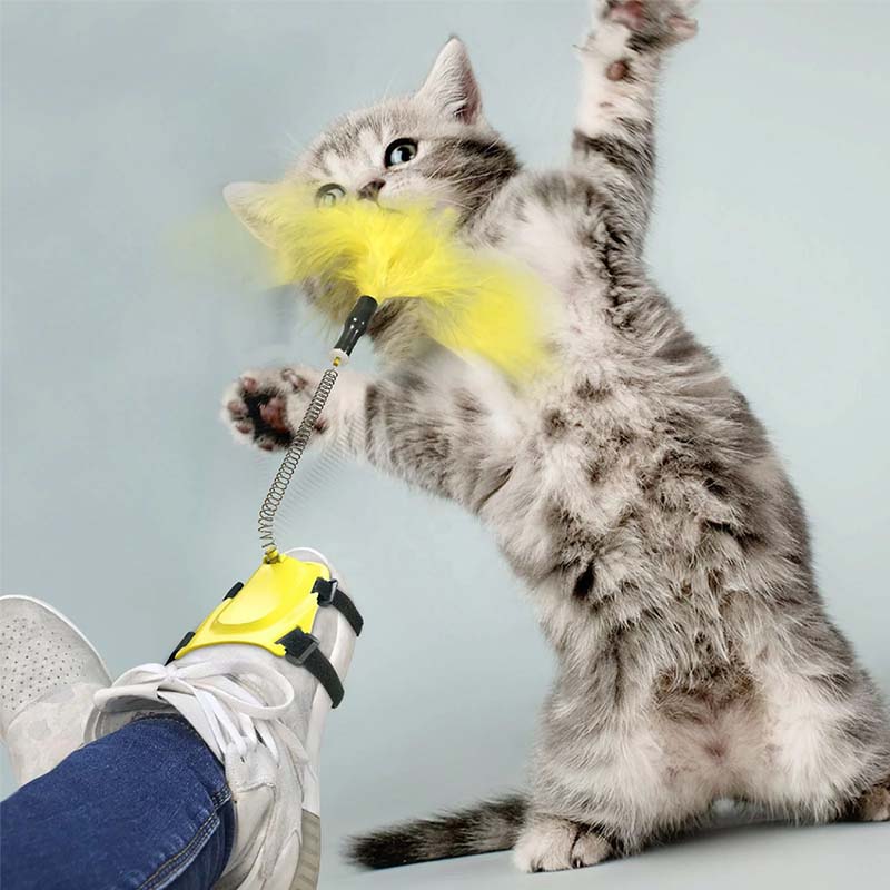 Спокойна игра с котка у дома