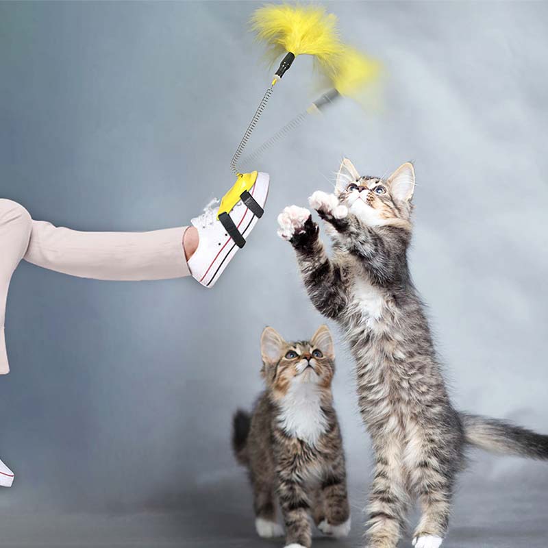 Котка играе и изразходва енергия у дома
