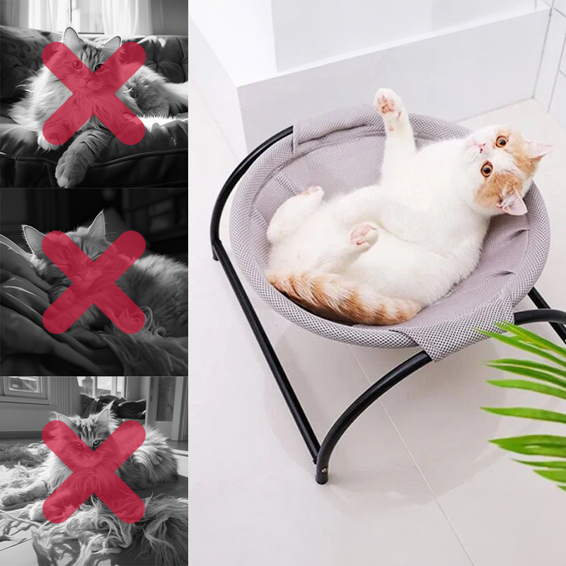 Висящ хамак за котка като отделно място за почивка