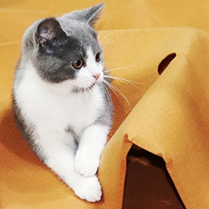 Играчка за котка при самостоятелна игра у дома