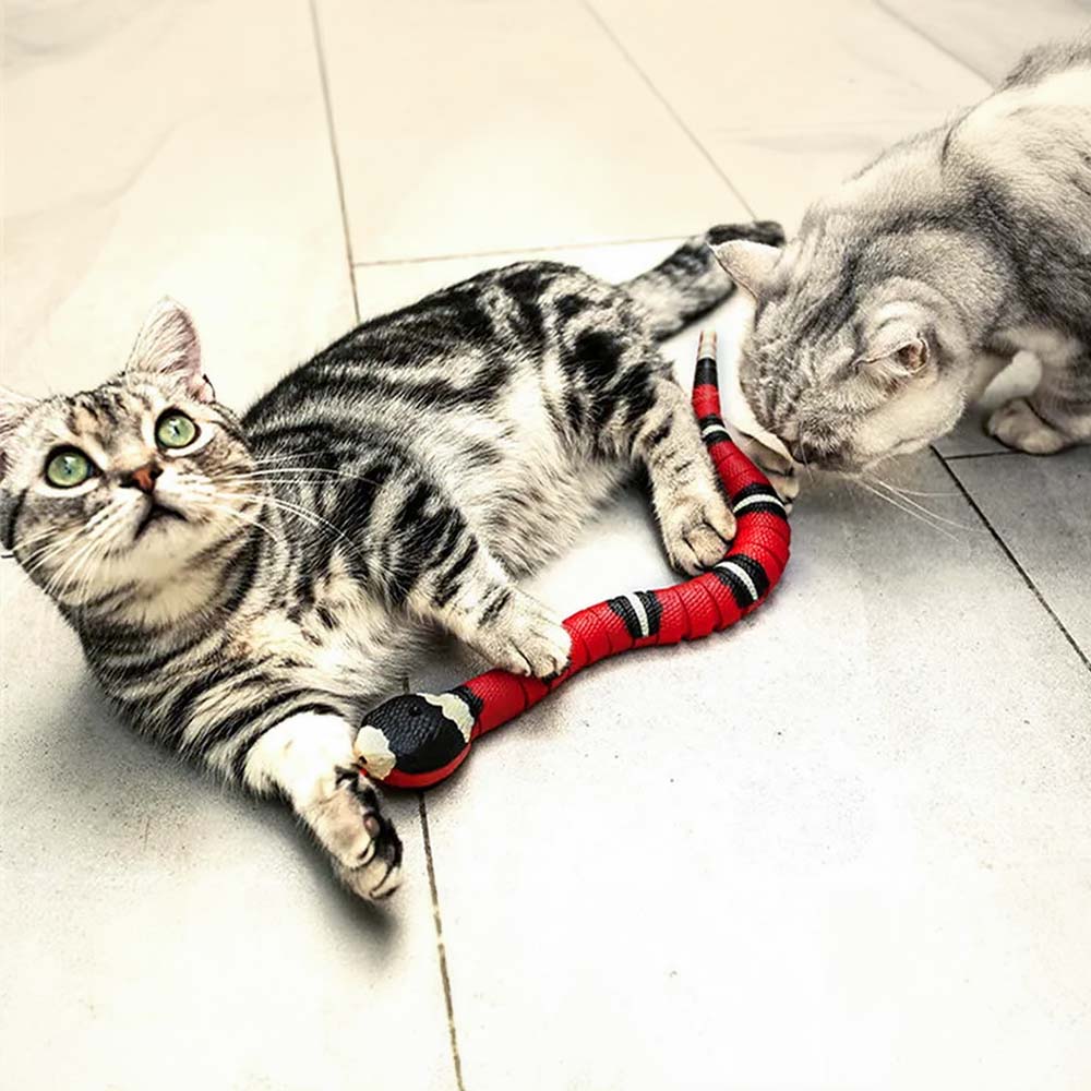 Интерактивна змия за котка - Image 6