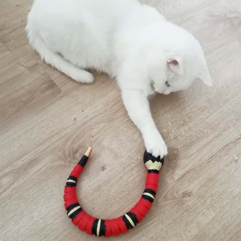 Движеща се змия за активна игра на котка