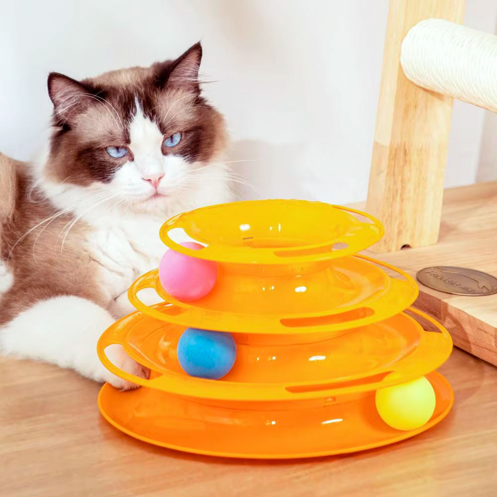 Активна игра за котка у дома