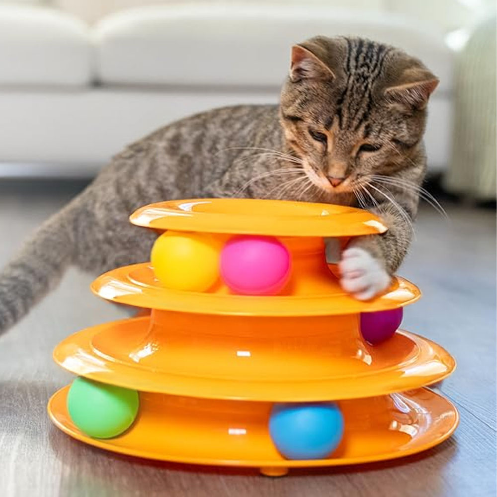 Котка играе с кула с цветни топчета